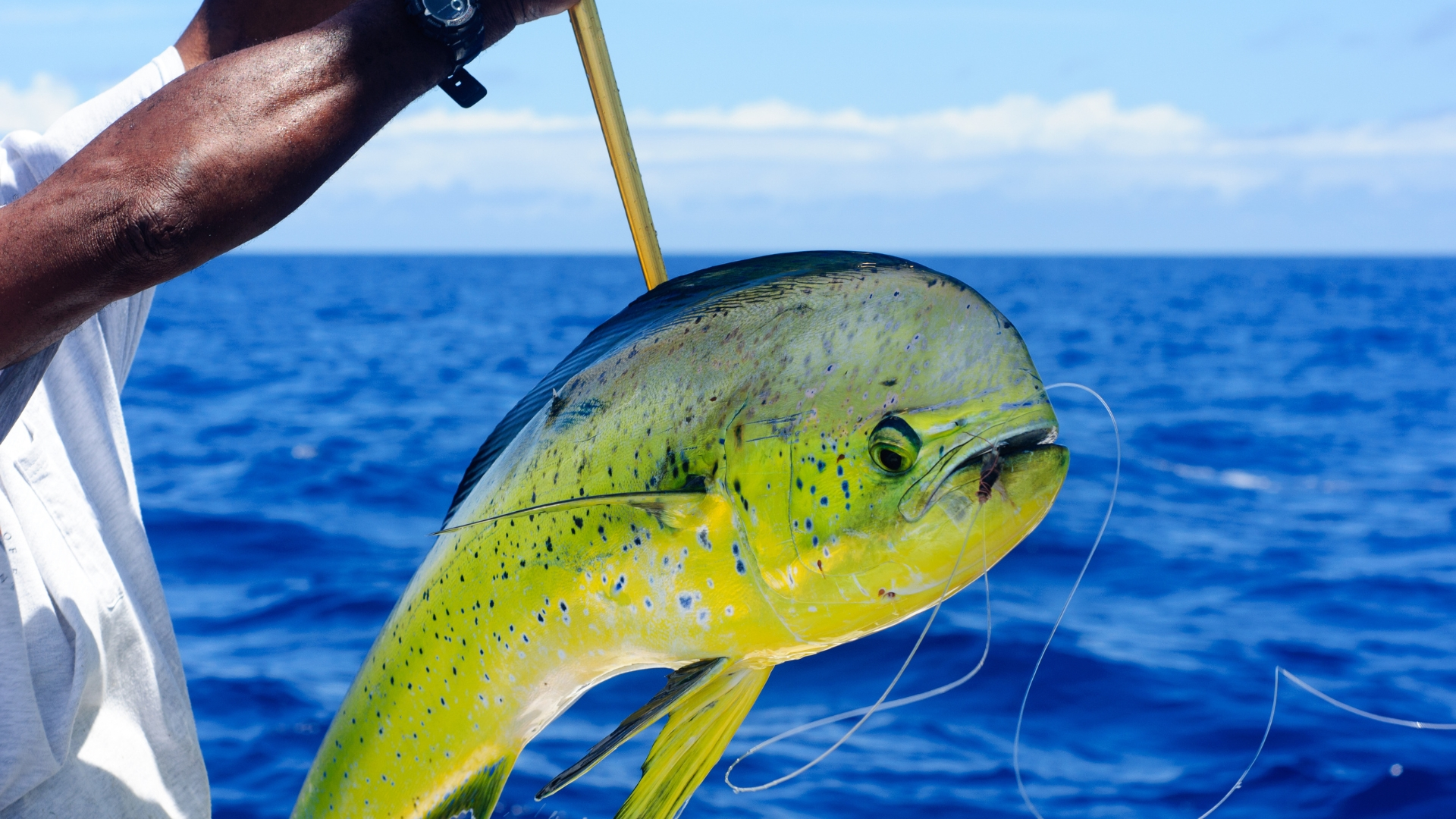 Fishing in the Florida Keys
