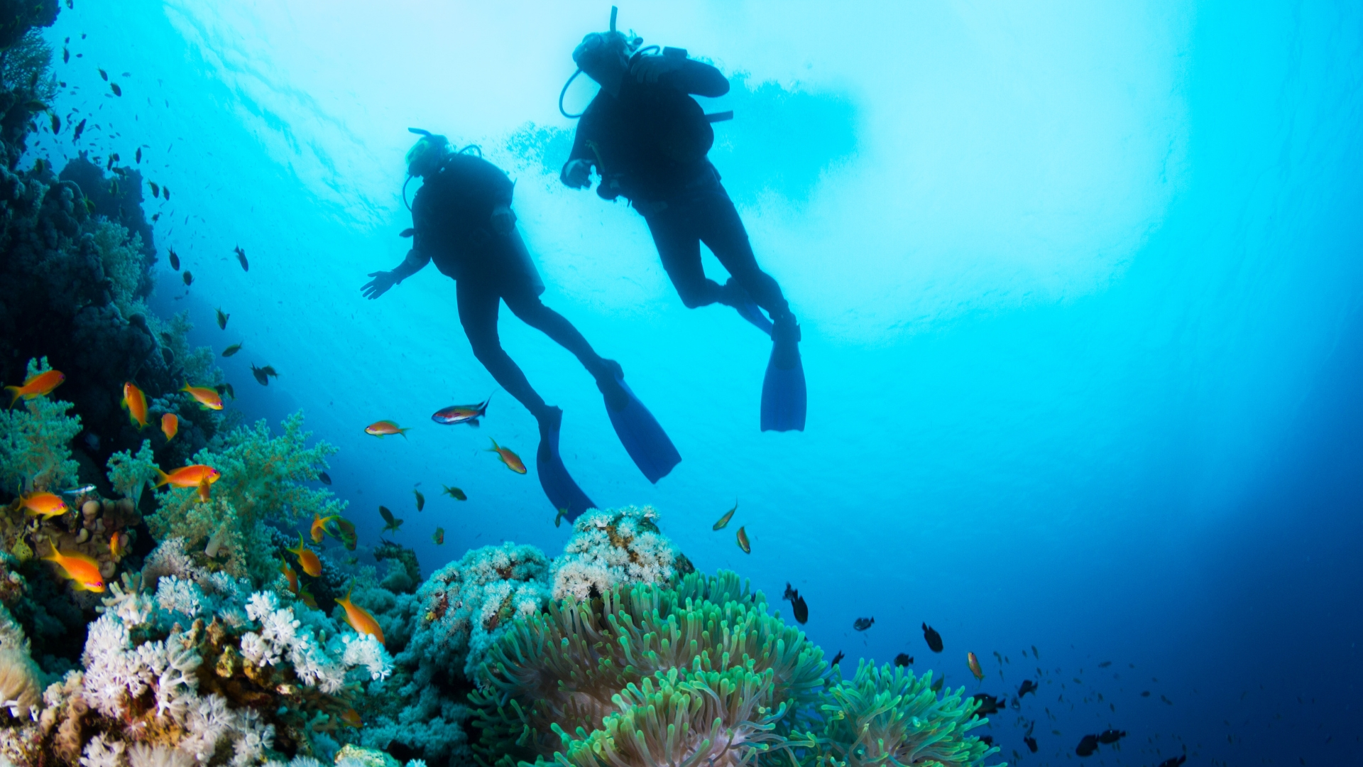 Diving in the Florida Keys